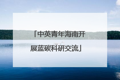 中英青年海南开展蓝碳科研交流