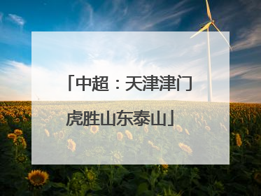 中超：天津津门虎胜山东泰山