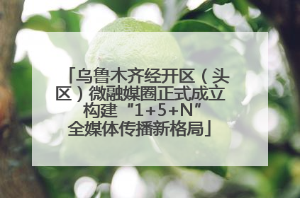 乌鲁木齐经开区（头区）微融媒圈正式成立 构建“1+5+N”全媒体传播新格局