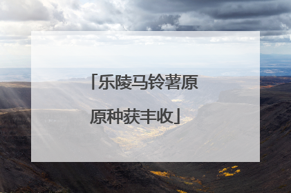 乐陵马铃薯原原种获丰收