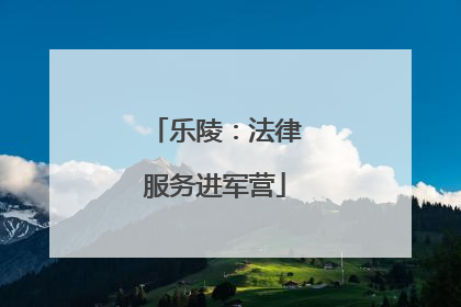 乐陵：法律服务进军营