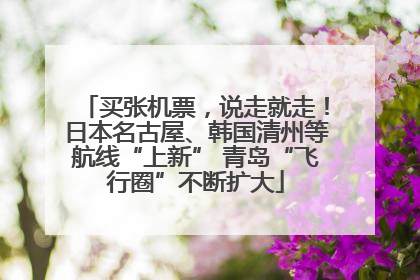 买张机票，说走就走！日本名古屋、韩国清州等航线“上新” 青岛“飞行圈”不断扩大