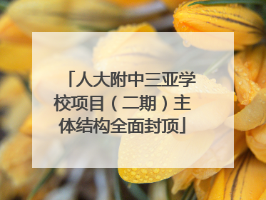人大附中三亚学校项目（二期）主体结构全面封顶