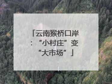云南猴桥口岸：“小村庄”变“大市场”