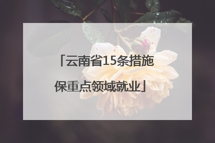 云南省15条措施保重点领域就业