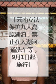 云南立法保护九大高原湖泊：禁止在入湖河道洗车等，9月1日起施行