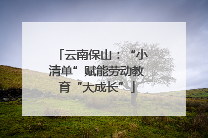 云南保山：“小清单”赋能劳动教育“大成长”