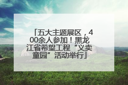 五大主题展区，400余人参加！黑龙江省希望工程“义卖童园”活动举行