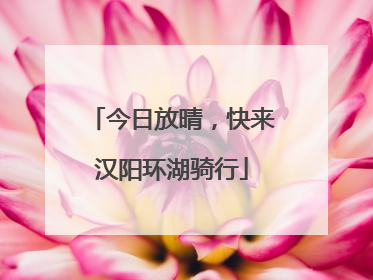 今日放晴，快来汉阳环湖骑行
