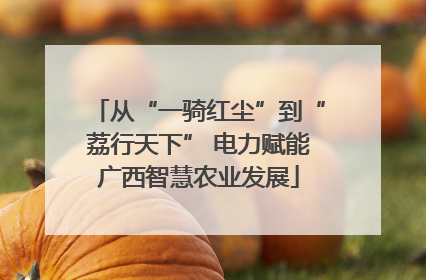 从“一骑红尘”到“荔行天下” 电力赋能广西智慧农业发展