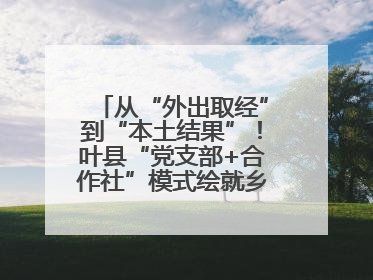 从“外出取经”到“本土结果”！叶县“党支部+合作社”模式绘就乡村振兴新图景