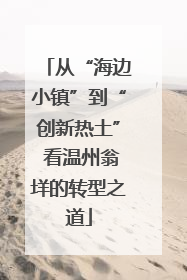 从“海边小镇”到“创新热土” 看温州翁垟的转型之道