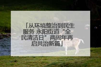 从环境整治到民生服务 永阳街道“全民清洁日”两周年再启共治新篇