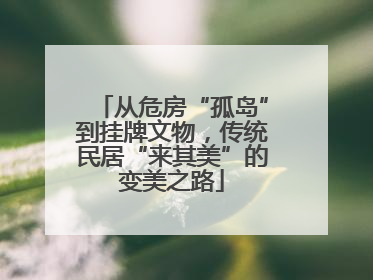 从危房“孤岛”到挂牌文物，传统民居“来其美”的变美之路
