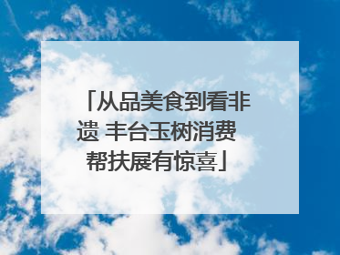 从品美食到看非遗 丰台玉树消费帮扶展有惊喜