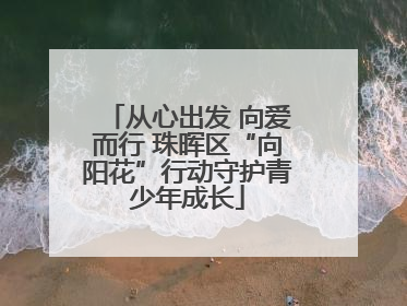从心出发 向爱而行 珠晖区“向阳花”行动守护青少年成长