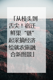 从枝头到舌尖！宿迁鲜果“链”起采摘经济绘就农旅融合新图景