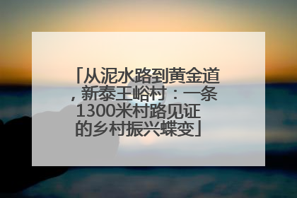 从泥水路到黄金道，新泰王峪村：一条1300米村路见证的乡村振兴蝶变