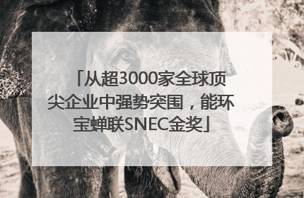 从超3000家全球顶尖企业中强势突围，能环宝蝉联SNEC金奖