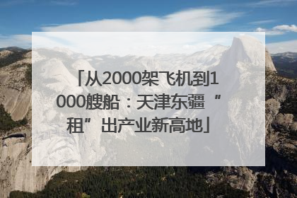 从2000架飞机到1000艘船：天津东疆“租”出产业新高地