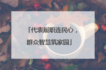 代表履职连民心，群众智慧筑家园