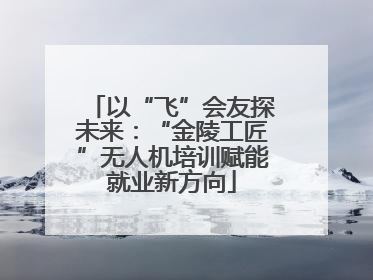 以“飞”会友探未来：“金陵工匠”无人机培训赋能就业新方向