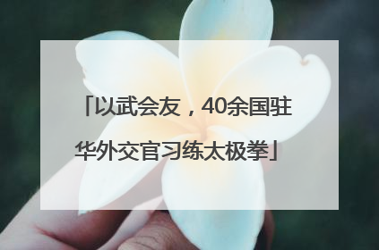以武会友,40余国驻华外交官习练太极拳