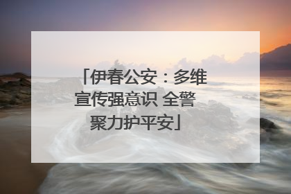 伊春公安：多维宣传强意识 全警聚力护平安