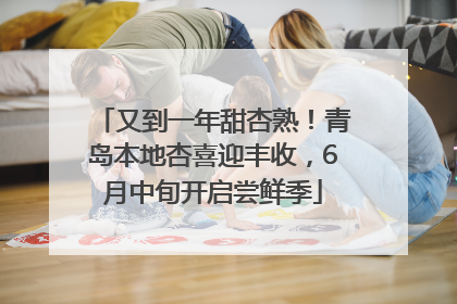 又到一年甜杏熟！青岛本地杏喜迎丰收，6月中旬开启尝鲜季