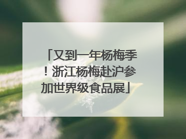 又到一年杨梅季！浙江杨梅赴沪参加世界级食品展