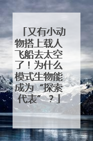 又有小动物搭上载人飞船去太空了！为什么模式生物能成为“探索代表”？