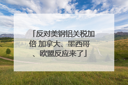 反对美钢铝关税加倍 加拿大、墨西哥、欧盟反应来了