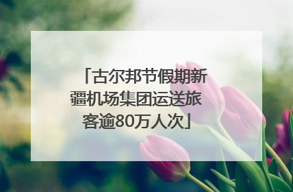 古尔邦节假期新疆机场集团运送旅客逾80万人次