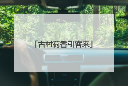 古村荷香引客来