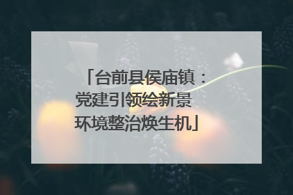台前县侯庙镇：党建引领绘新景 环境整治焕生机