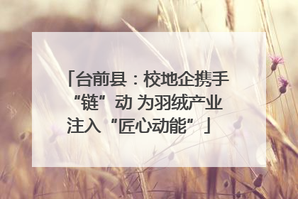 台前县：校地企携手“链”动 为羽绒产业注入“匠心动能”