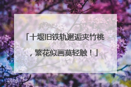 十堰旧铁轨邂逅夹竹桃，繁花似画莫轻触！