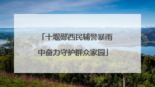 十堰郧西民辅警暴雨中奋力守护群众家园