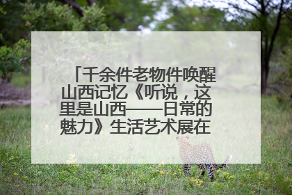 千余件老物件唤醒山西记忆《听说，这里是山西——日常的魅力》生活艺术展在忻州市图书馆开展