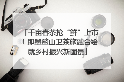 千亩春茶抢“鲜”上市！即墨鳌山卫茶旅融合绘就乡村振兴新图景