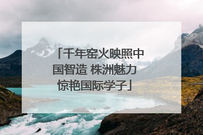 千年窑火映照中国智造 株洲魅力惊艳国际学子