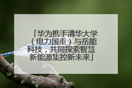 华为携手清华大学（电力国重）与岳能科技，共同探索智慧新能源集控新未来