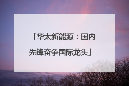 华太新能源：国内先锋奋争国际龙头