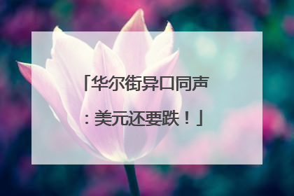华尔街异口同声：美元还要跌！