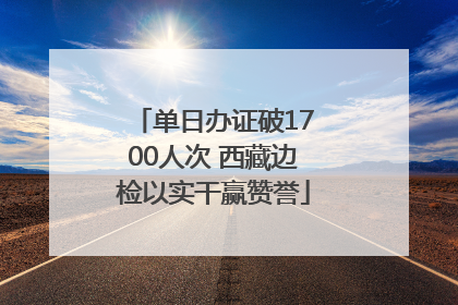 单日办证破1700人次 西藏边检以实干赢赞誉