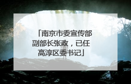 南京市委宣传部副部长张政，已任高淳区委书记