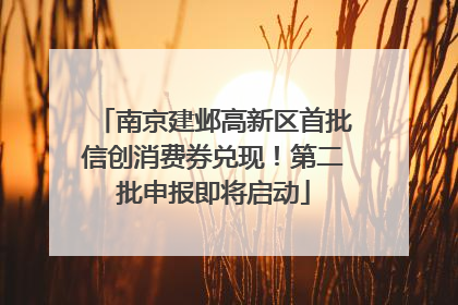 南京建邺高新区首批信创消费券兑现！第二批申报即将启动