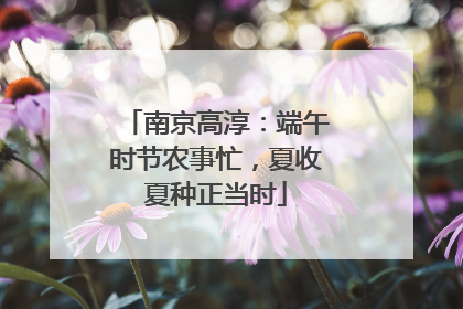 南京高淳：端午时节农事忙，夏收夏种正当时