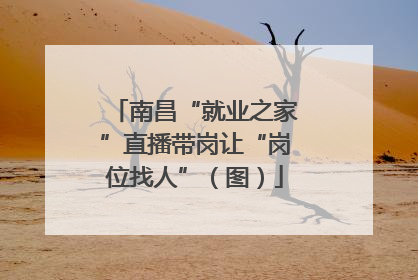 南昌“就业之家”直播带岗让“岗位找人”（图）