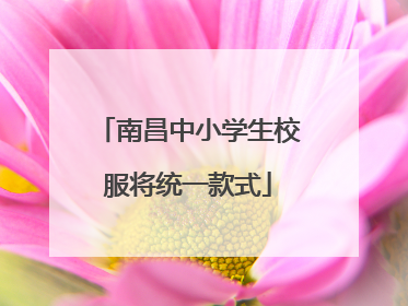 南昌中小学生校服将统一款式